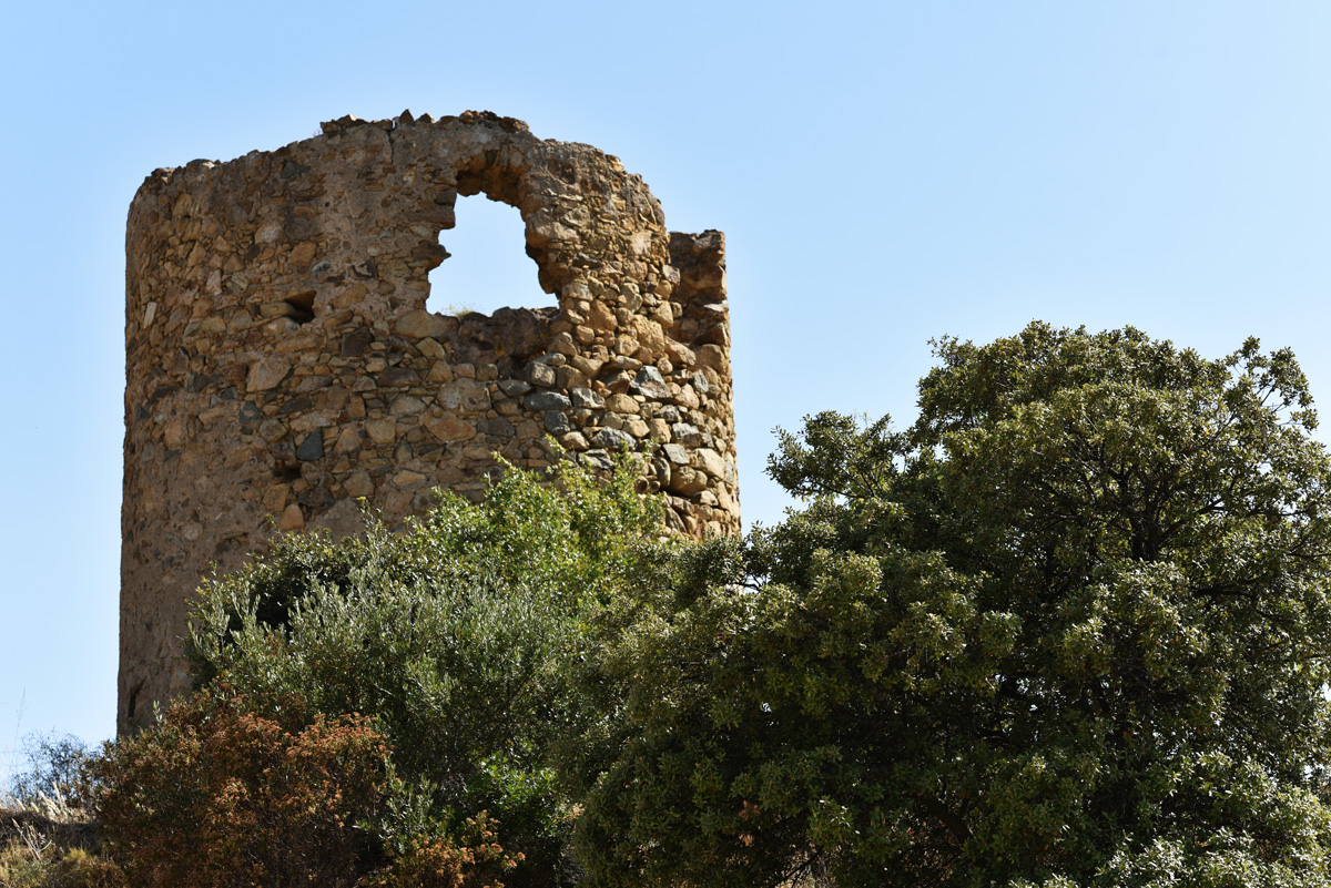 The Wild Parisian île Rousse