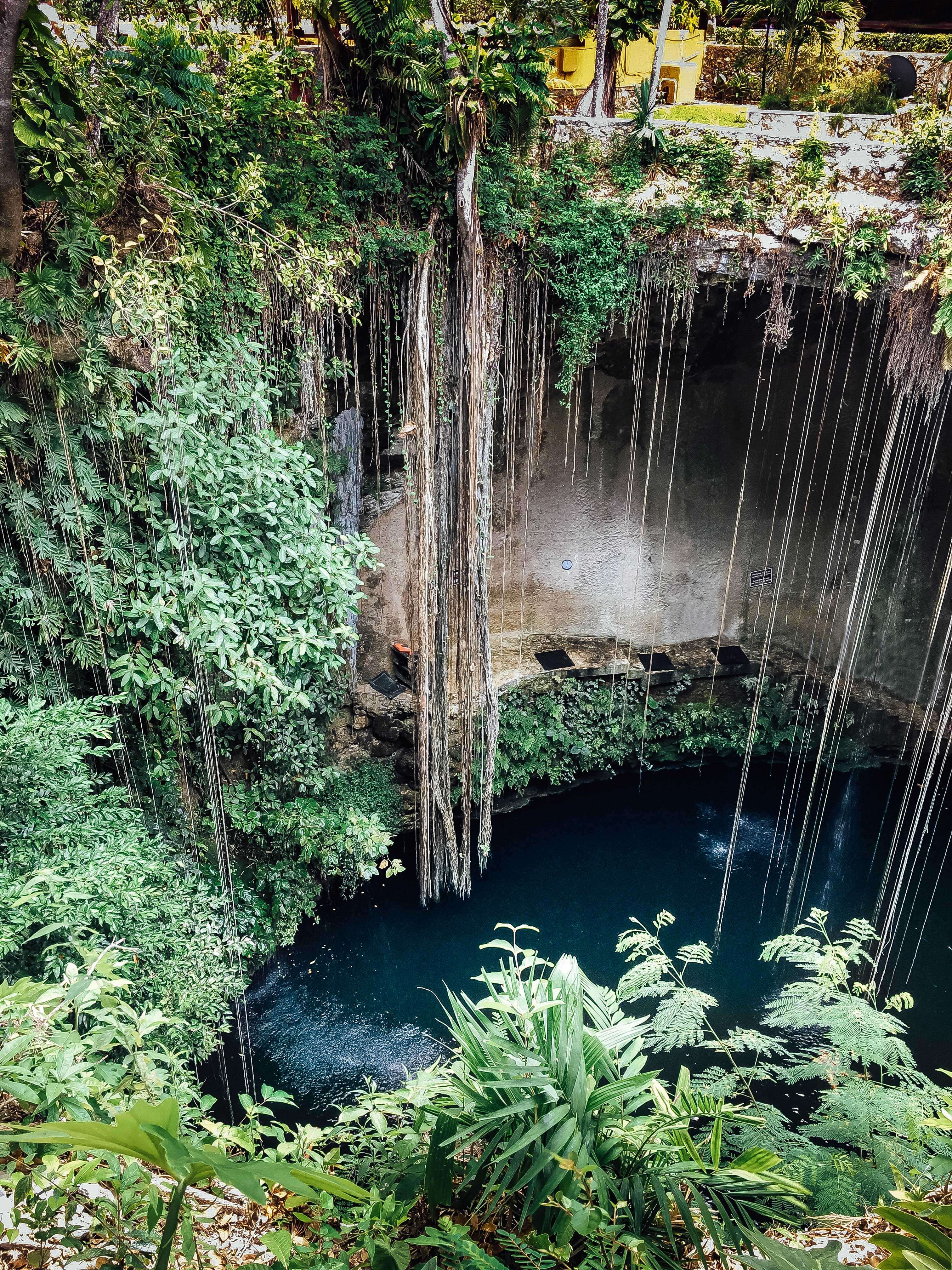 The Wild Parisian au cenote Ik Kil