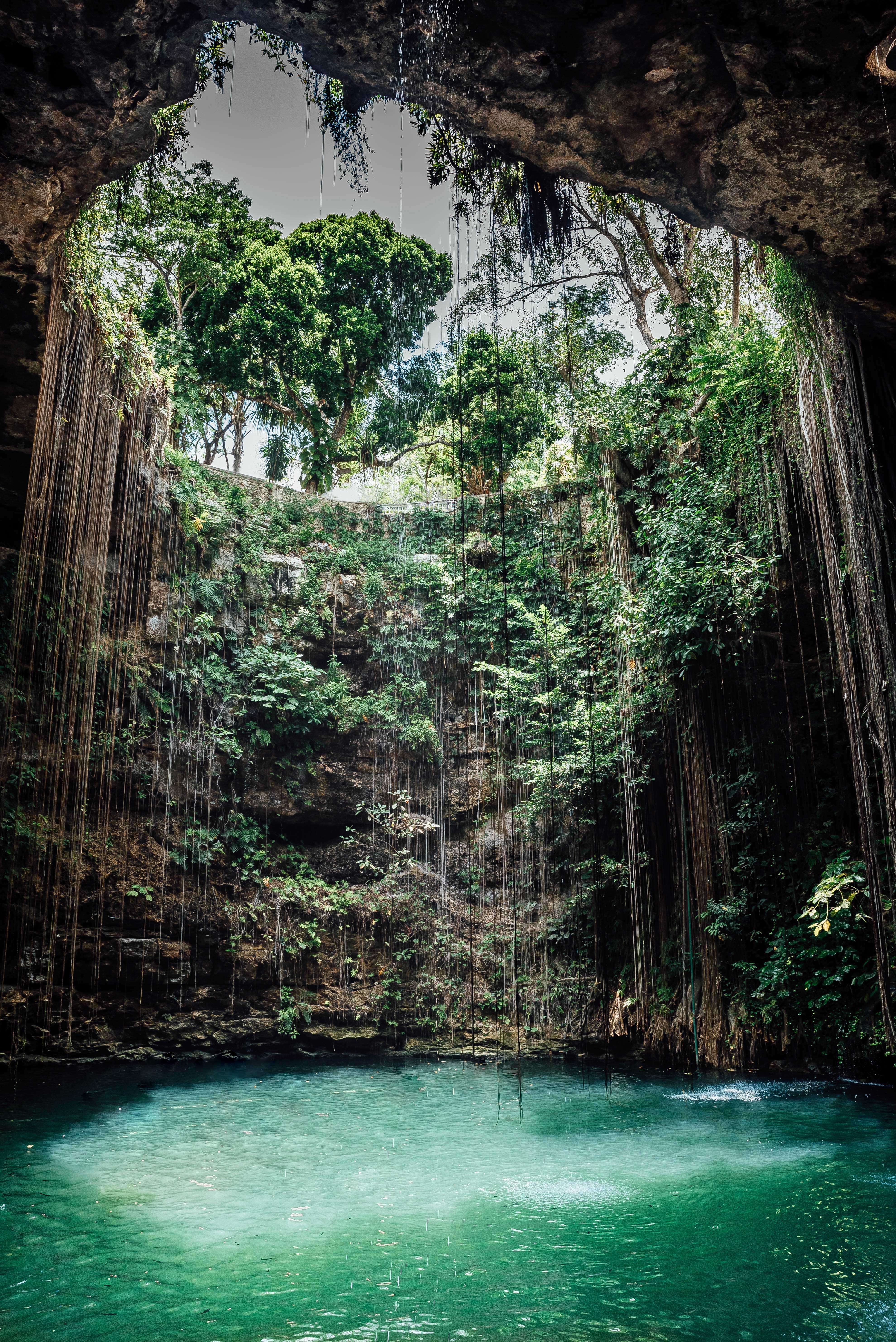 The Wild Parisian au cenote Ik Kil