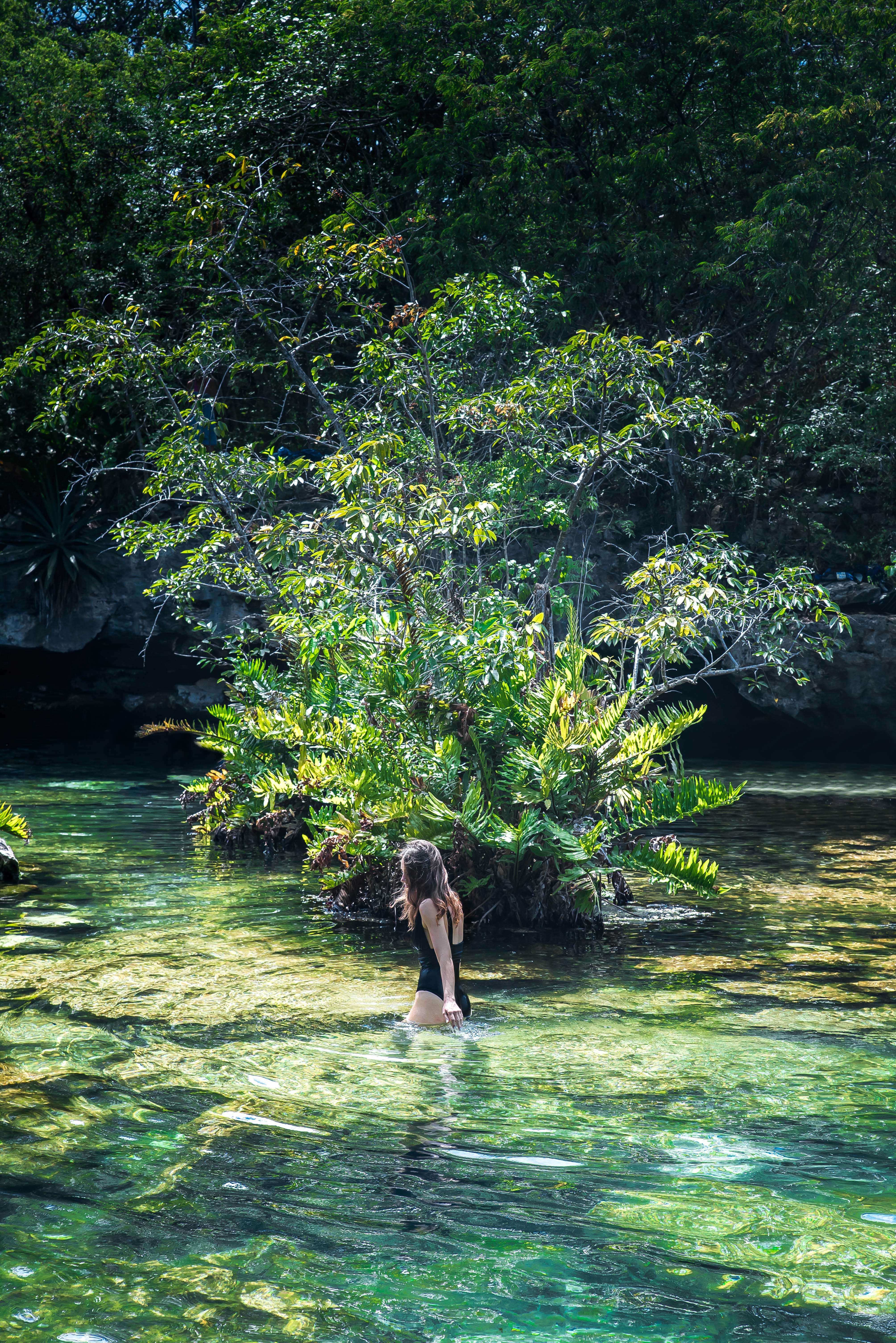 The Wild Parisian au cenote Azul