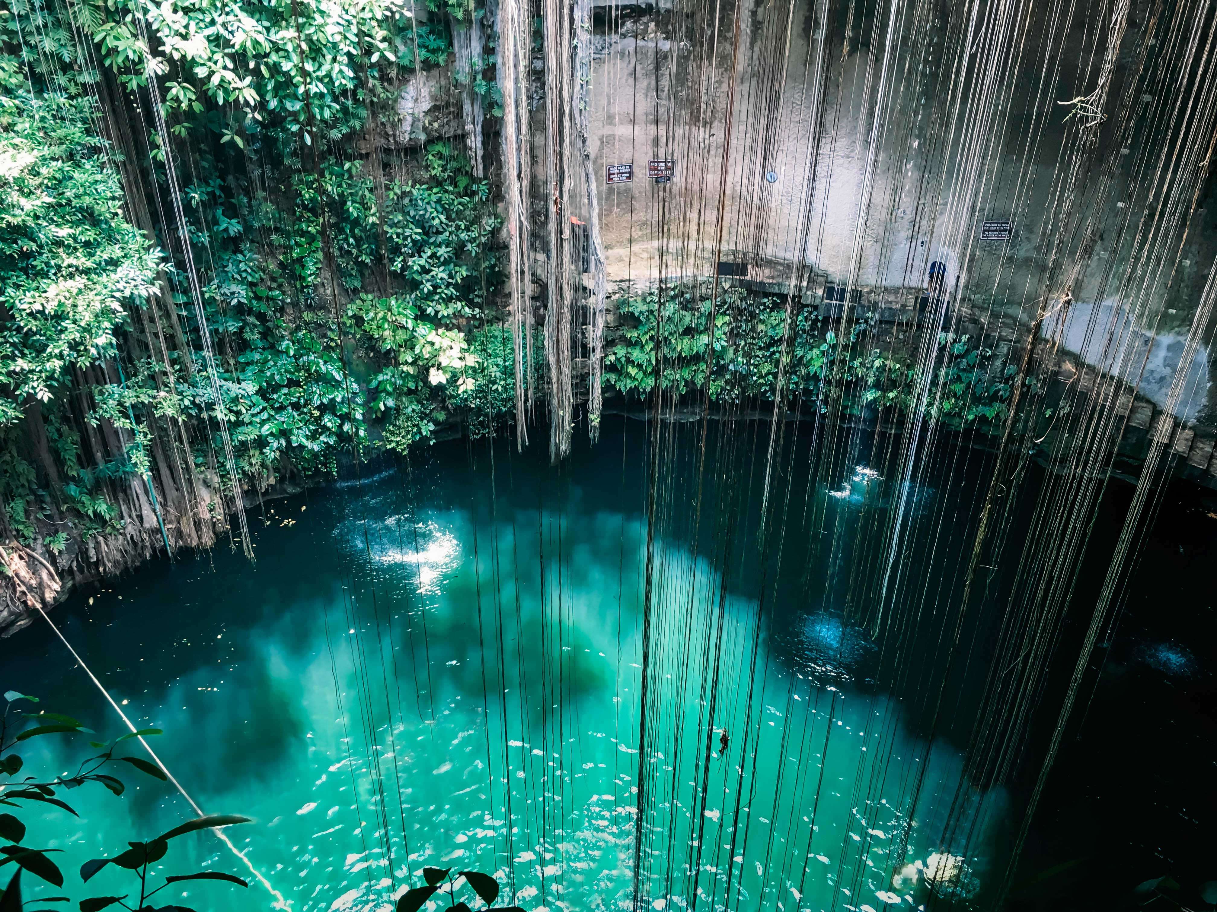 The Wild Parisian au cenote Ik Kil