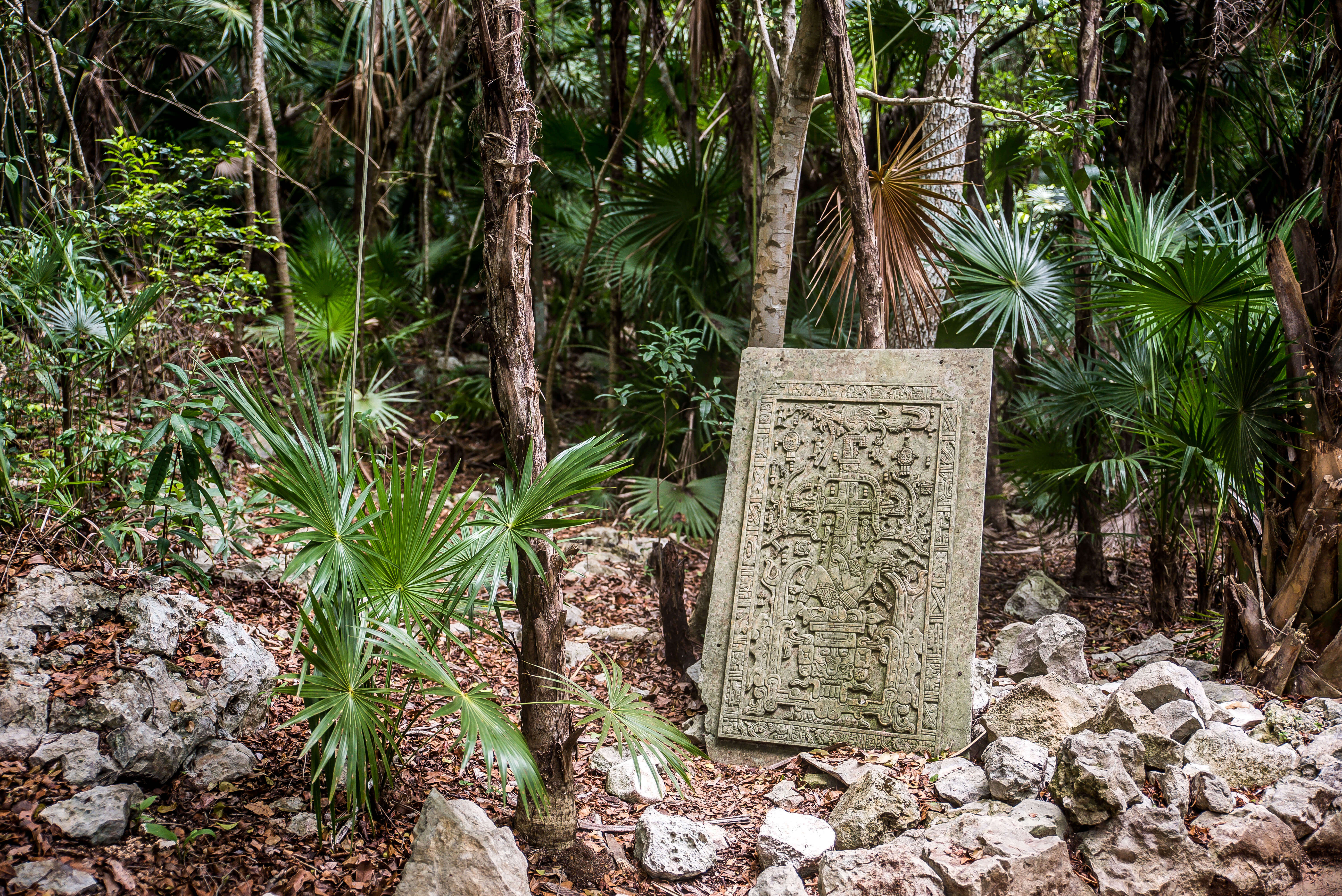 The Wild Parisian au cenote Azul