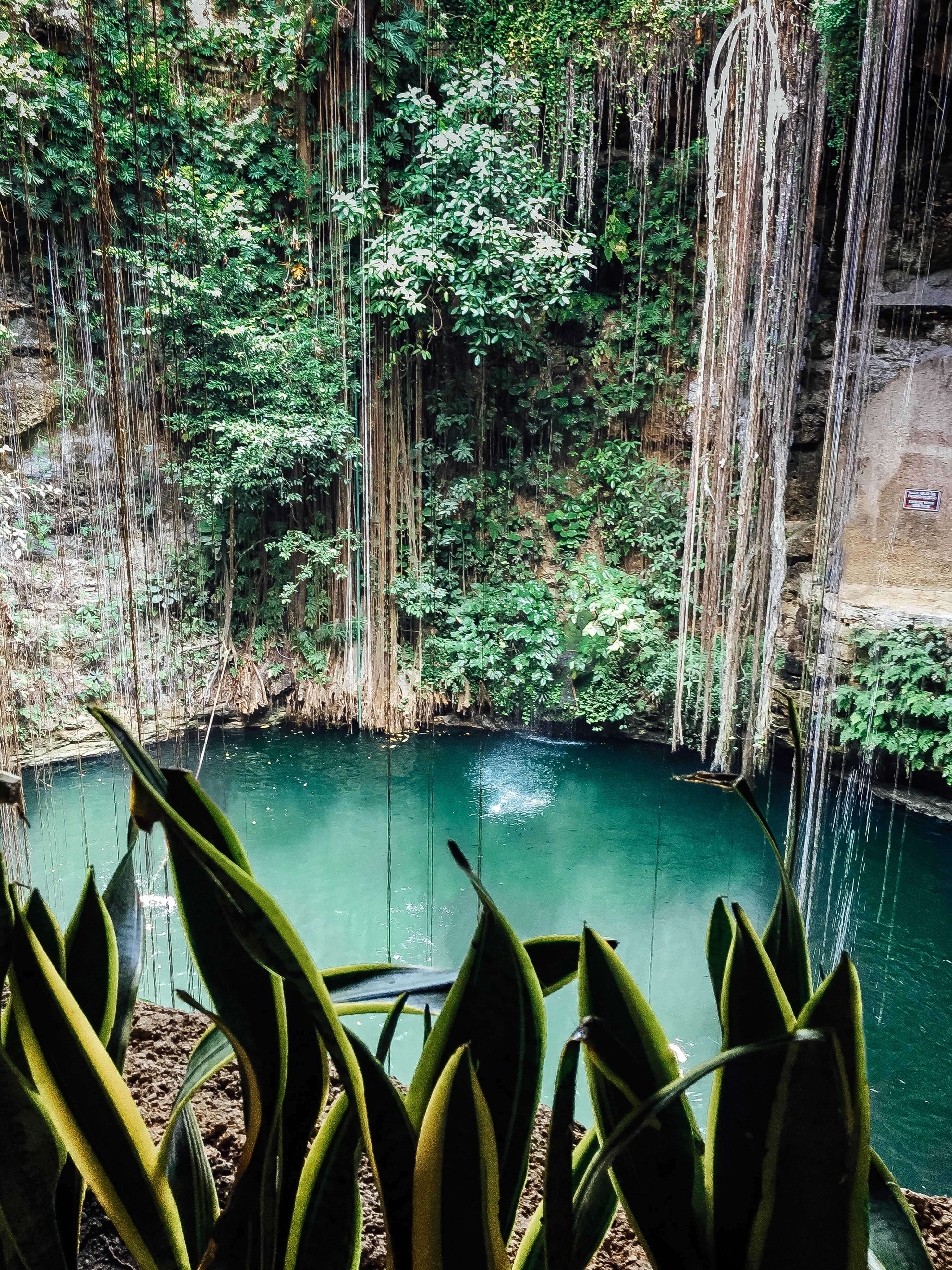 The Wild Parisian au cenote Ik Kil