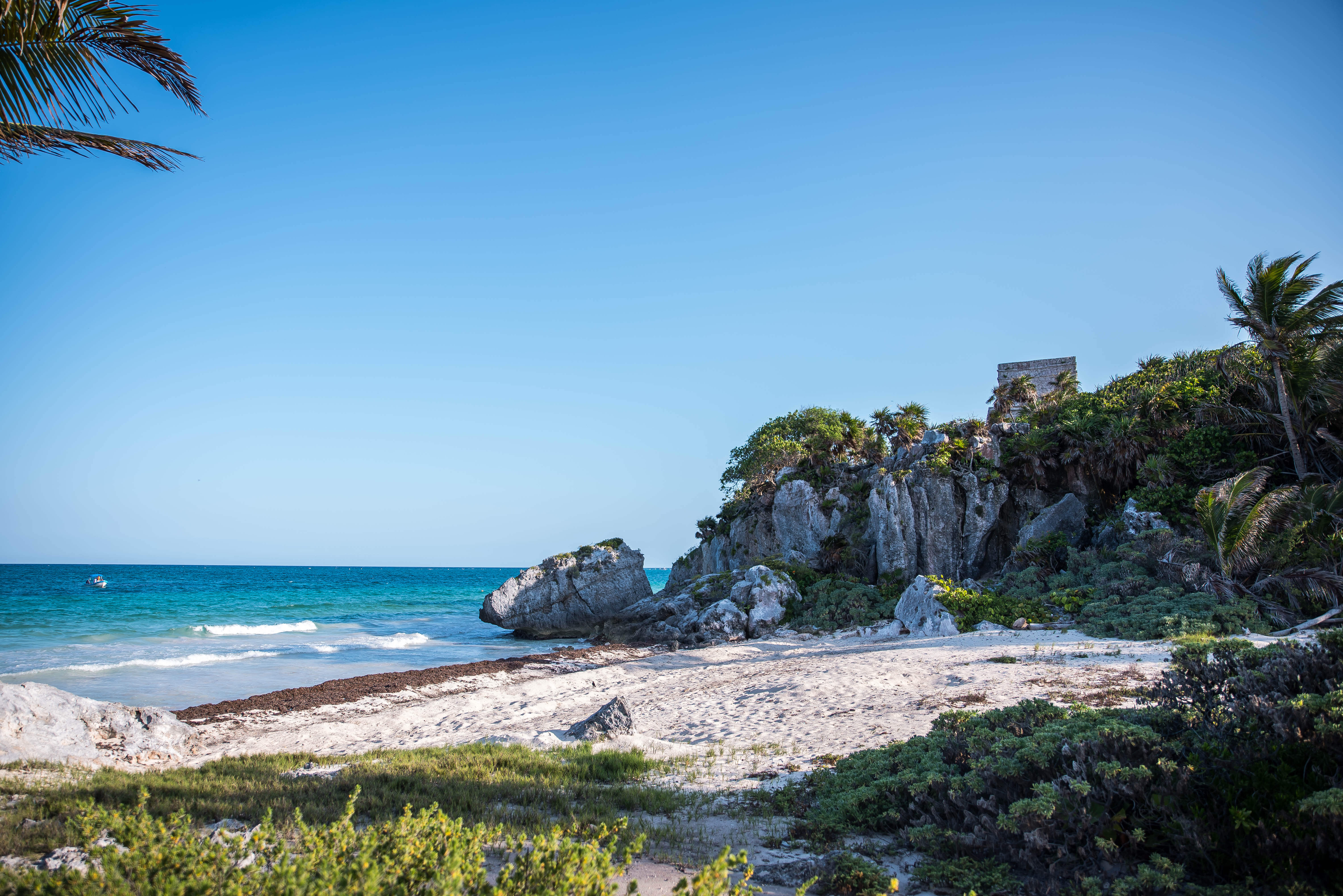 The Wild Parisian aux ruines de Tulum