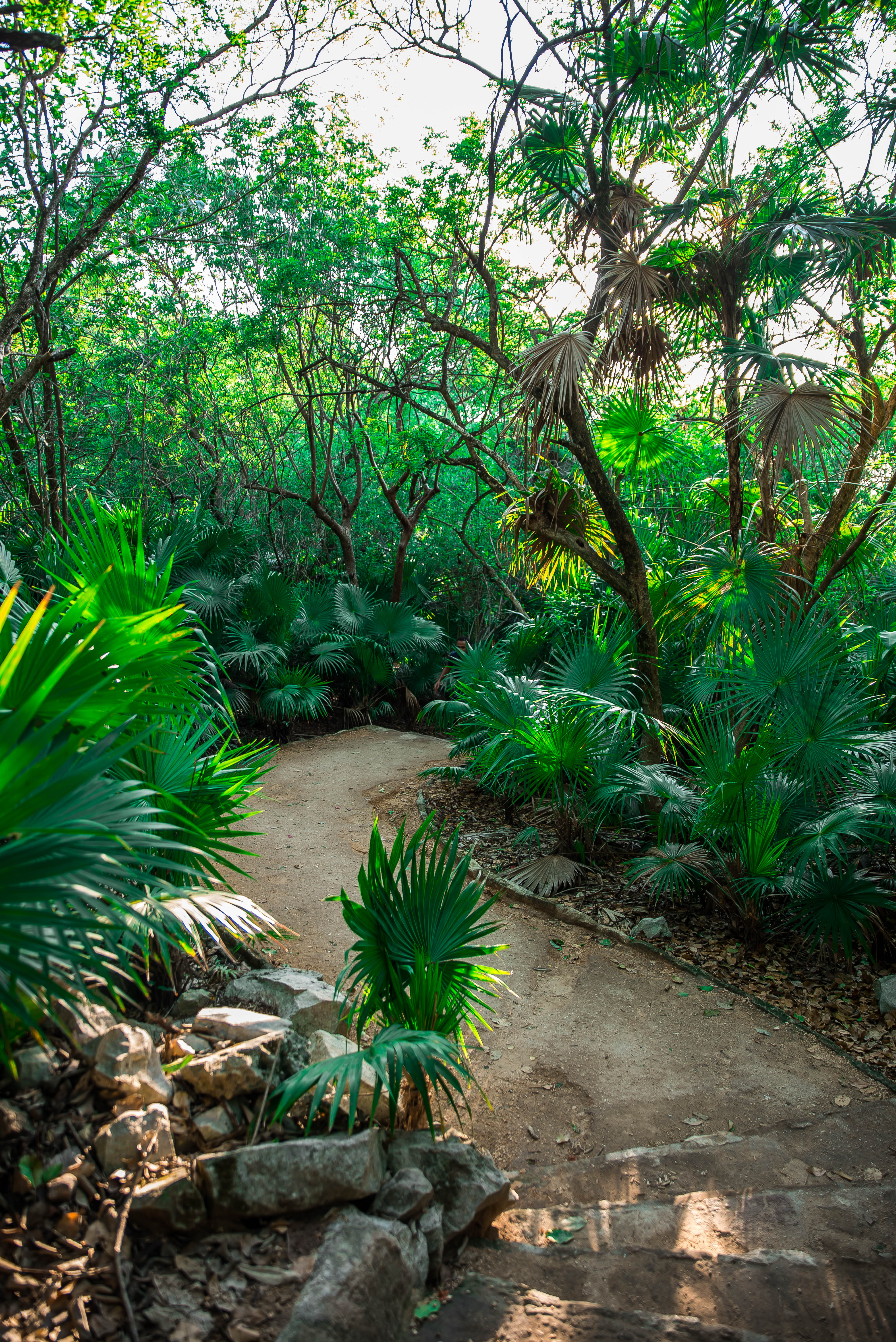 Tulum, un paradis au Mexique